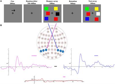 Long-term high-altitude exposure influences task-related representations in visual working memory